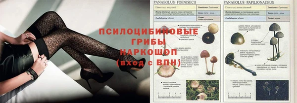 гашик Арсеньев