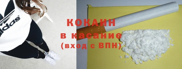 гашик Арсеньев