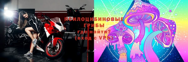 гашик Арсеньев